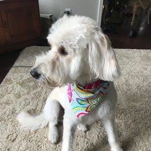 Meet your Posher, Deona